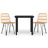 3-dijelni vrtni blagovaonski set od poliratana 3157887