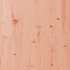 Vanjski set za igru od masivnog drva duglazije 3156950