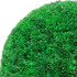 Kugle od umjetnog šimšira 2 kom 52 cm 315482 Kugle od umjetnog šimšira 2 kom 52 cm 315482