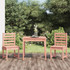 3-dijelni vrtni bistro set od masivnog drva duglazije 3154676