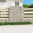 Gabionska košara s lukom 200x30x220/240 cm pocinčano željezo 153471 Gabionska košara s lukom 200x30x220/240 cm pocinčano željezo 153471