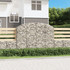 Gabionska košara s lukom 200x30x140/160 cm pocinčano željezo 153467 Gabionska košara s lukom 200x30x140/160 cm pocinčano željezo 153467