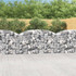 Gabionska košara s lukom 200x50x100/120 cm pocinčano željezo 153475 Gabionska košara s lukom 200x50x100/120 cm pocinčano željezo 153475