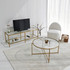 Hanah Home TV stalak Osnovni zlatni TV501 