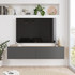 TV jedinica FR10-AA