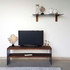 TV jedinica TV101