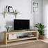 TV jedinica TV302