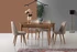 Set stolica (4 komada) Dallas 555 V4
