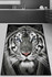 Tepih (150 x 240)  Divljak 150 x 240 Tepih (150 x 240)  Divljak 150 x 240