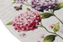 tepih (60 x 90) Ortanca Ovalni DJT tepih (60 x 90) Ortanca Ovalni DJT