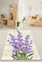 Tepih (80 x 120)  Lavanda Djt