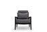Wing Chair Apolon - Siva