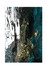 Tepih (160 x 230) EXFAB264 a.g Tepih (160 x 230) EXFAB264 a.g