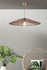 Luster Konik   a.g