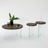 Set stolića za kavu Serenity 2 - prozirna, orah a.g
