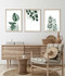 Ukrasna uokvirena MDF slika (3 komada) Huhu193 - 30 x 40 a.g
