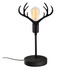 Stolna lampa GMN-000011 a.g
