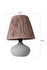 Stolna lampa YL546 a.g
