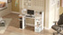Radni stol VR1-W