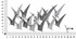 Željezni Zidni Panel Gabbiani Cm 93x12,7x47,6