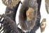 Željezni Zidni Panel Browny -B- Cm 96,5x5,7x51 Željezni Zidni Panel Browny -B- Cm 96,5x5,7x51