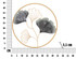 Zidna Željezna Ploča Flower Simple Cm Ø 45,5x3,5