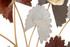 Zidna Dekoracija Reddy Cm 78x8x80