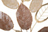 Zidna Dekoracija Jesen Cm 66x5x116,8