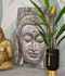 Ručno Radena Zidna Slika Lice Buddha Svjetlo -A- Cm 80x3x120