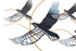 Željezni Zidni Panel Bird Cm 91x7x50
