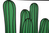 Zidni Pano Cactus Cm 60x1,3x33