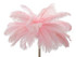 Podna Lampa Palm Pink Cm Ø 55x160