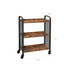 Rolling Cart LRC66BX Rolling Cart LRC66BX
