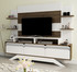 TV jedinica Delpi