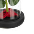 Rose in glass - shining Ruhhy 25682