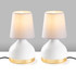 Set stolnih lampi (2 komada) Yıldo - 8023 - Set