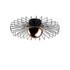 Luster Kaya - 15225 - L