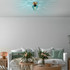 Luster Benek - 15 - 14382