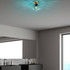 Luster Benek - 15 - 14382