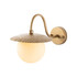 Zidna lampa Anemon - 15001