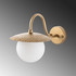 Zidna lampa Anemon - 15001