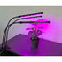 Lampa  20 LED 3kom za rast biljaka Gardlov 19242