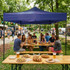 Automatski vrtni paviljon pop-up šator 3x3 m, plavi, MultiGarden