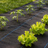 Crna UV-otporna agro tkanina 90 g/m² za kontrolu korova 3,2×50 m, igle, MultiGarden