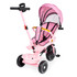 Tricikl-kolica 2-u-1 sa rotirajućom sjedištem, preklopivom suncobrana, roza, ECOTOYS