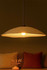 Luster BK183