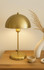 Stolna lampa BRZ-340114
