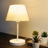 Stolna lampa AYD-3121