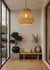 Luster HAS002