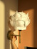 Zidna lampa APG0001